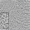Cobble Stones Decorative Engraved Aluminum sheet metal / metal laminate used for cabinetry and wall covering, available in 4'x8' and 4'x10' sheets view 1