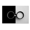 Trademark Fine Art Opposites Attract Wall Dcor, 16 x 24 view 1