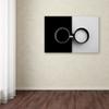 Trademark Fine Art Opposites Attract Wall Dcor, 16 x 24 view 3