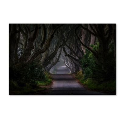 Trademark Fine Art Magic Road Wall Dcor, 16 x 24
