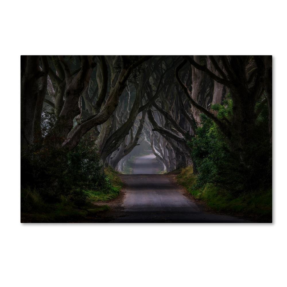 Trademark Fine Art Magic Road Wall Dcor, 16 x 24