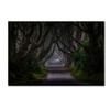 Trademark Fine Art Magic Road Wall Dcor, 16 x 24 view 1