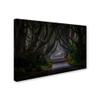 Trademark Fine Art Magic Road Wall Dcor, 16 x 24 view 2