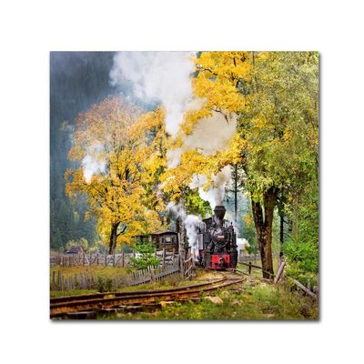 Trademark Fine Art A Sort Of Fairy Tale by Sorin Onisor, 18x18-Inch