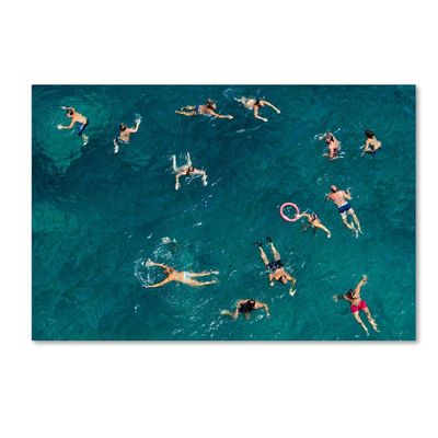 Trademark Fine Art Swim Wall Dcor, 16 x 24
