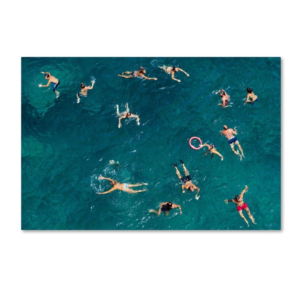 Trademark Fine Art Swim Wall Dcor, 16 x 24
