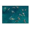 Trademark Fine Art Swim Wall Dcor, 16 x 24 view 1