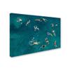 Trademark Fine Art Swim Wall Dcor, 16 x 24 view 2