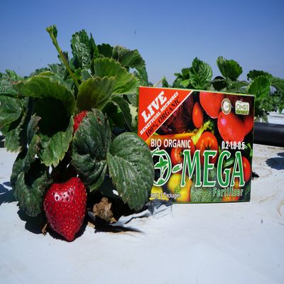 O-MEGA Bio-Organic Fertilizer Satchet (3)