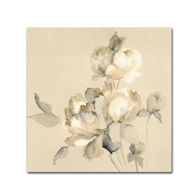 Trademark Fine Art Canvas Art
