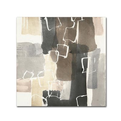 Trademark Fine Art WAP02083-C1818GG Chris Paschke 'Dancing Squares II'