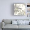 Wrapped Canvas Wall Art - Chris Paschke 'Gray and Silver Flowers I' Wall Art for Living Room, Bedroom, or Office Dcor - 18x18 view 3