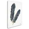 Trademark Fine Art WAP02384-C2232GG Chris Paschke 'Gold Feathers IV Indigo' view 2