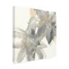Wrapped Canvas Wall Art - Chris Paschke 'Gray and Silver Flowers II' Wall Art for Living Room, Bedroom, or Office Dcor - 18x18 view 1