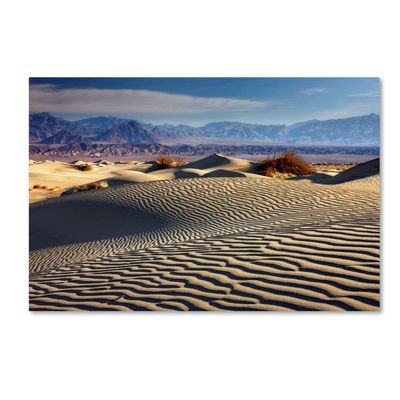Trademark Fine Art ALI17813-C1624GG Death Valley Mesquite Dunes