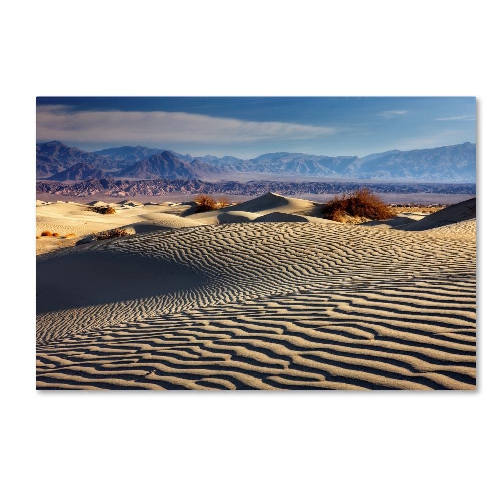 Trademark Fine Art ALI17813-C1624GG Death Valley Mesquite Dunes