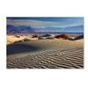 Trademark Fine Art ALI17813-C1624GG Death Valley Mesquite Dunes view 1