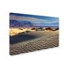 Trademark Fine Art ALI17813-C1624GG Death Valley Mesquite Dunes view 2