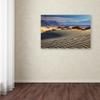 Trademark Fine Art ALI17813-C1624GG Death Valley Mesquite Dunes view 3