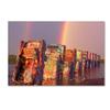 Trademark Fine Art ALI17881-C1624GG Cadillac Ranch Rainbow view 1