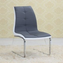 Hot Funiture Dinning Chair