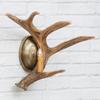 BLACK FOREST DECOR Whitetail Deer Antler Wall Sconce - Right Facing view 1