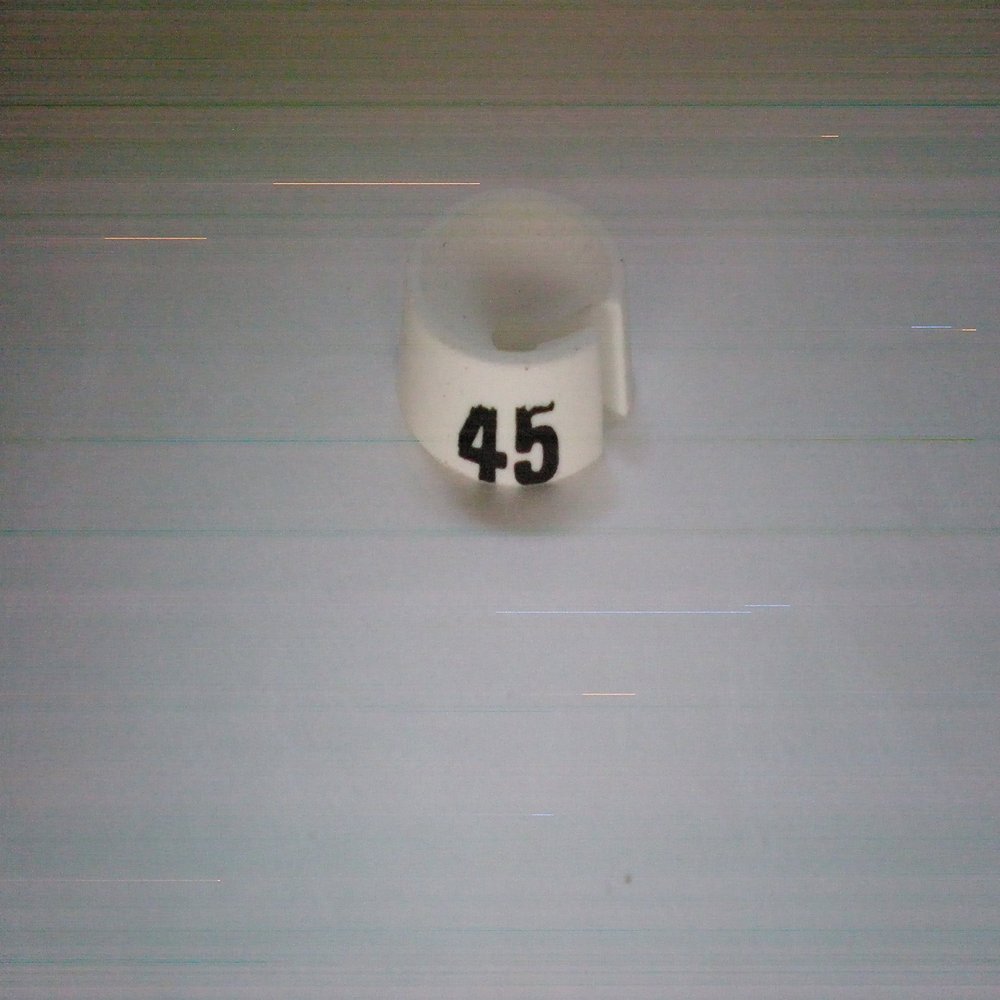 Virginia Aardvark Hanger Marker, Classic Size, White with Black Print, Bag of 25, (Size 45)