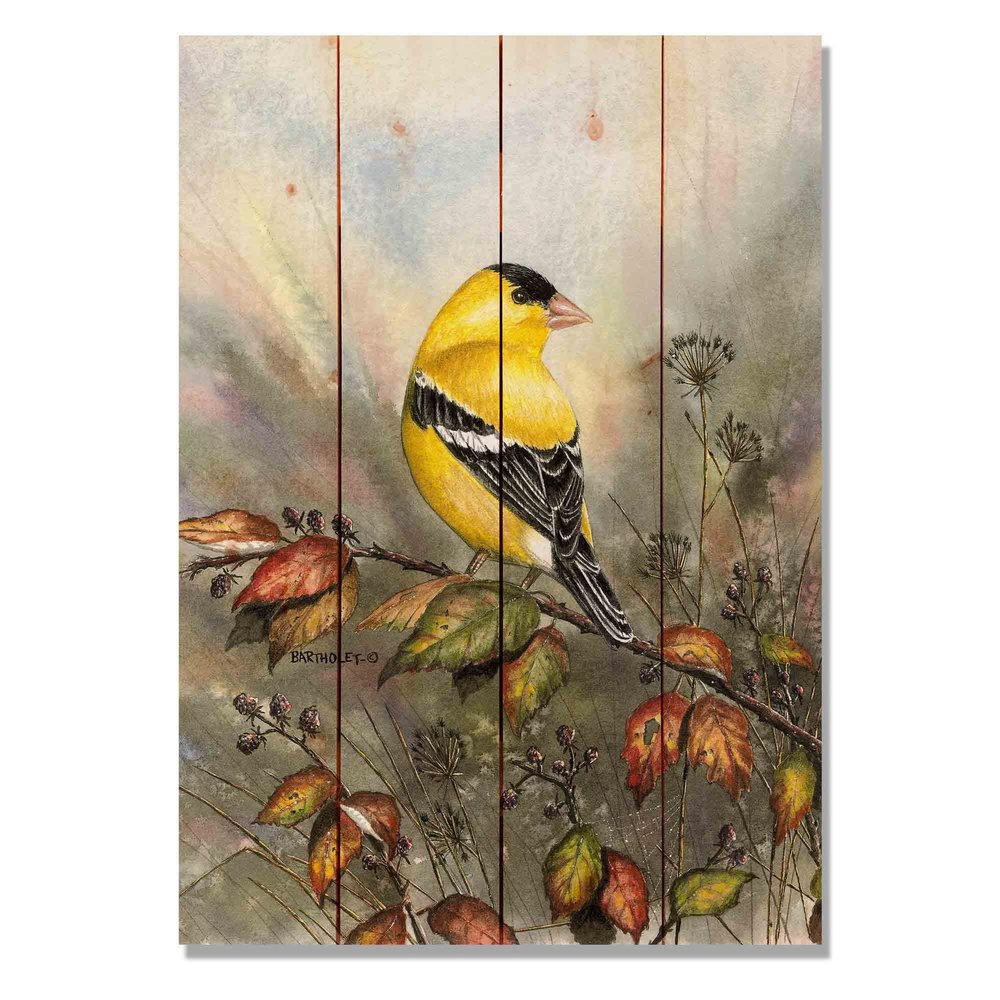 Wile E. Wood Bartholet's Backyard Gold Wood Wall Art, Tan