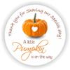 Baby Shower Stickers - A Little Pumpkin is on the way Stickers - Thank you for Celebrating with me view 1