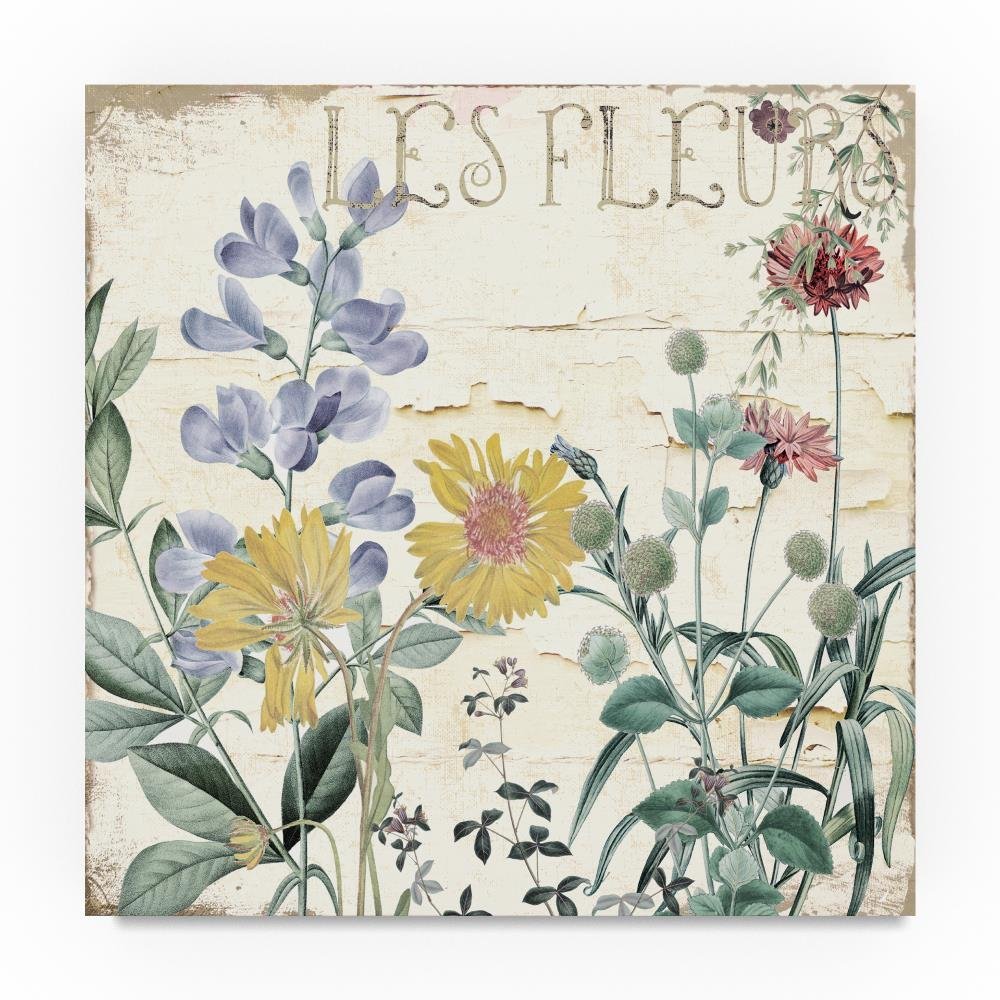 Trademark Fine Art Mirabelle II by Color Bakery, 18x18-Inch