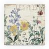 Trademark Fine Art Mirabelle II by Color Bakery, 18x18-Inch view 1