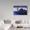 Trademark Fine Art Early Morning Light by John Morrow, 16x24-Inch view 3