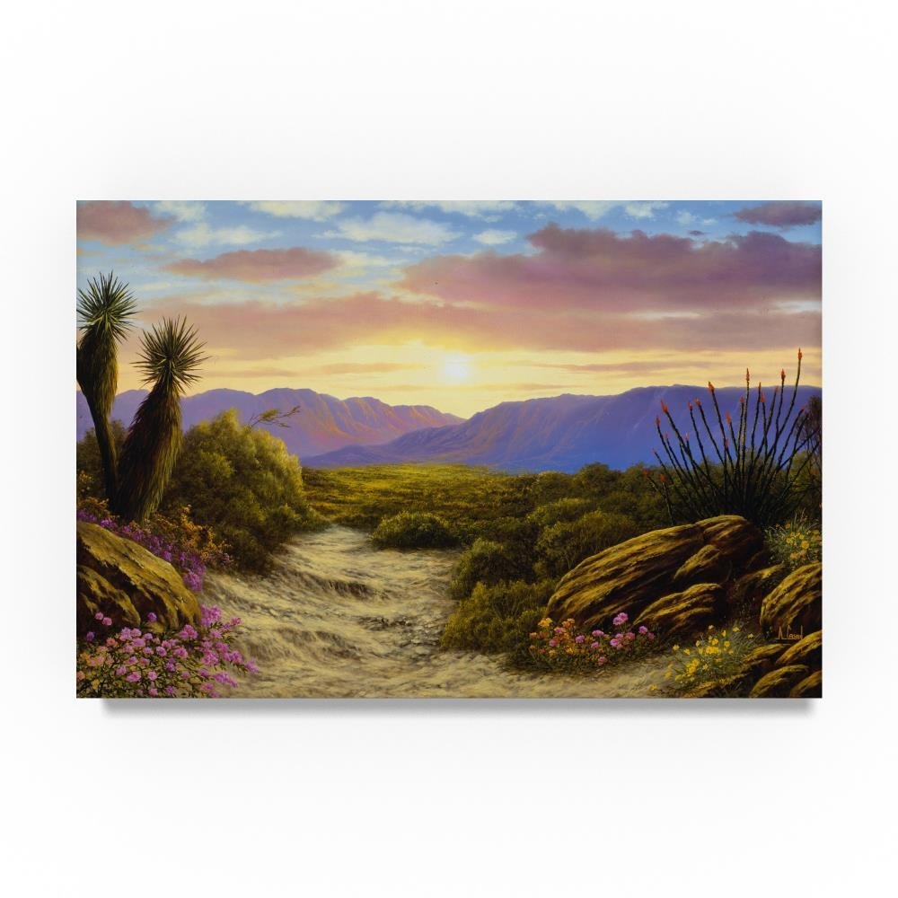 Trademark Fine Art Desert Scene by Anthony Casay, 16x24-Inch