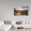 Trademark Fine Art Desert Scene by Anthony Casay, 16x24-Inch view 3
