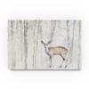 Trademark Fine Art A Woodland Walk VII by Lisa Audit, 16x24-Inch view 1