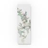 Trademark Fine Art Eucalyptus II White Crop by Danhui Nai, 10x32-Inch view 1