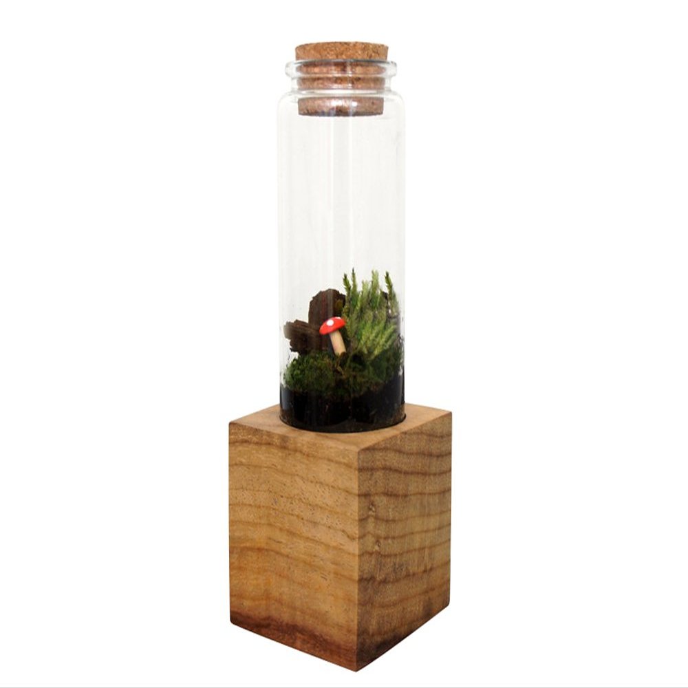 Moss + Twig Terrarium Kit with Wood Base - Handmade in New York City, NY