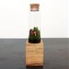 Moss + Twig Terrarium Kit with Wood Base - Handmade in New York City, NY view 2