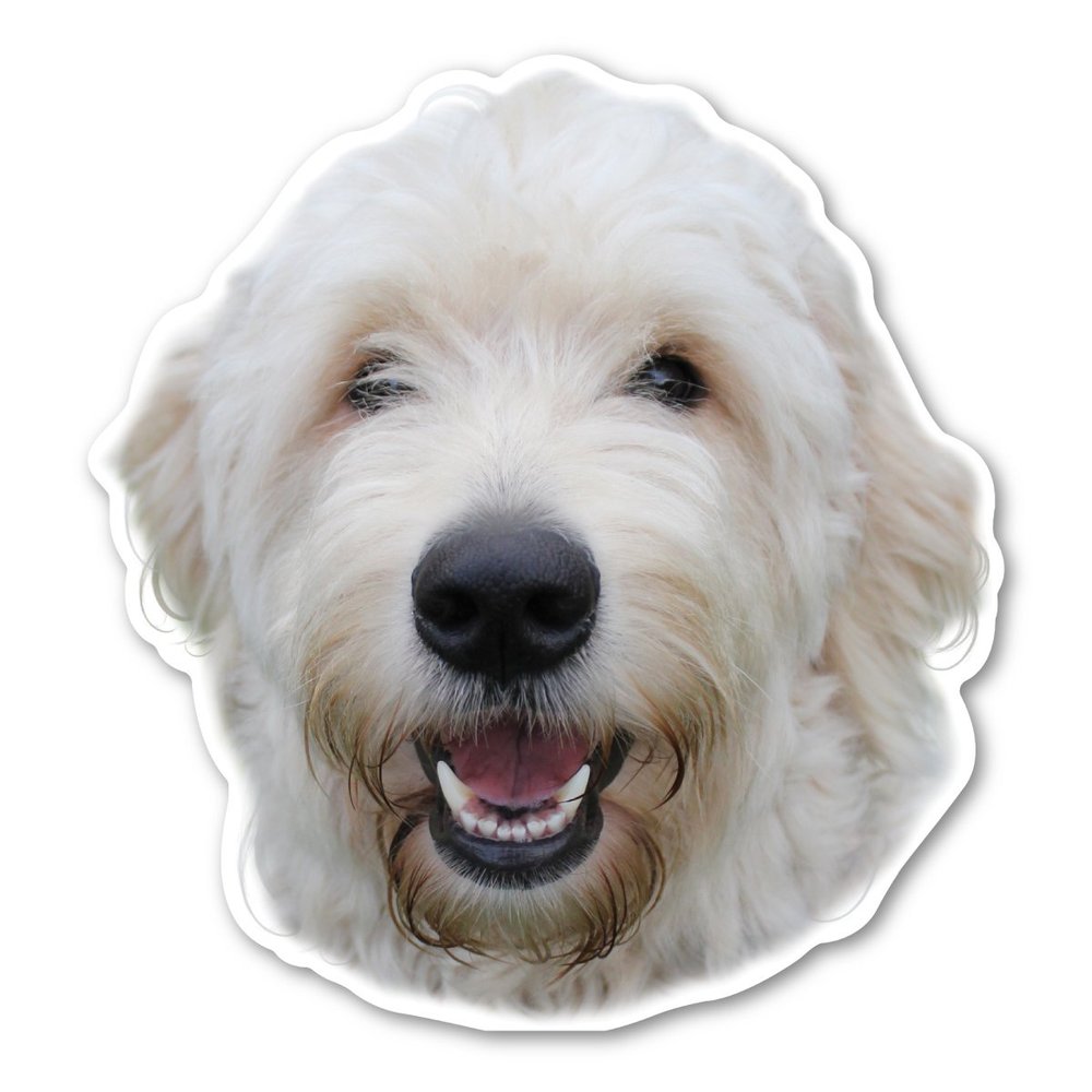 Magnet America Labradoodle Dog Magnet is 5.25" x 4.9" Made for Vehicles and Refrigerators