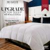 1600 Series Lightweight Goose Down Alternative Comforter Twin/Twin XL / Sky Blue view 2
