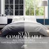 1600 Series Lightweight Goose Down Alternative Comforter Twin/Twin XL / Sky Blue view 4