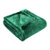 BNM Solid Fleece Blanket, Thick, Cozy, Warm Blankets, Velvety Soft Plush Bedding and Sofa Throw, Cute Bedroom Decor, Fuzzy Cover, Medium Weight Comfort Essentials, King, Evergreen view 2