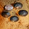 MISSION Spanish Clavos, Hammered Round Head Steel 3/4 inch Clavos Set of 30 view 1