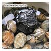 Iron Hydrating Southern Iron   Nanbu tetsugu  view 4
