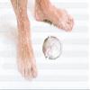 tesa Anti-Slip Tape for Bathrooms view 2