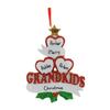 3D Christmas Tree Grandkids Family of 3 Ornament 2025 Personalized Family Christmas Ornaments 2025 | Mug of Cocoa Personalized Tree Ornaments for Siblings & Grandchildren of Three Ornament view 2