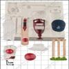Cricket Silicone Mould view 2