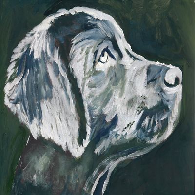 Labrador, Labrador Gift, Lab Dog Artwork, Gift For Owner, Dog, Painting