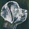 Labrador, Labrador Gift, Lab Dog Artwork, Gift For Owner, Dog, Painting view 1