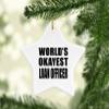Designsify Christmas Tree Decoration, World's Okayest Loan Officer, Star Ornament, Gifts for Birthday Anniversary Valentines Mom Mothers Fathers Day Party, to Men Women Him Her Friend Mom Dad view 2